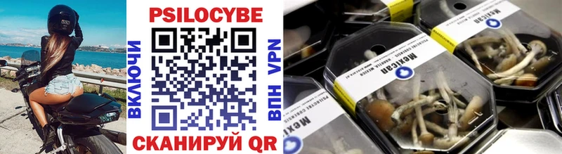 магазин    Рошаль  KRAKEN ТОР  Псилоцибиновые грибы мухоморы 